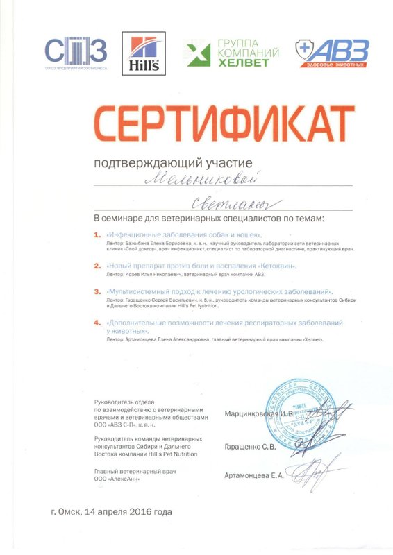 Документ или сертификат