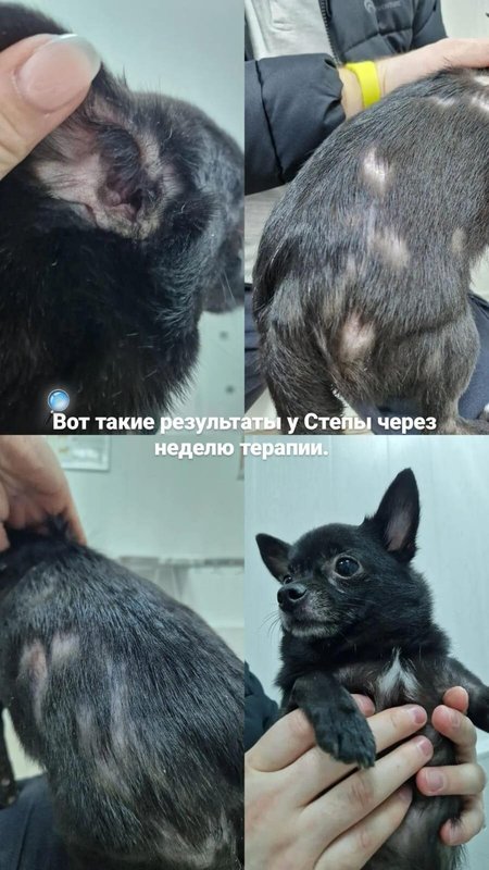 Фото врача