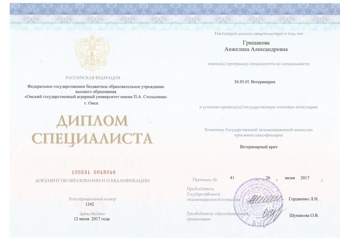 Документ или сертификат