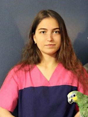 Фото врача Сидоренко Ангелина Андреевна