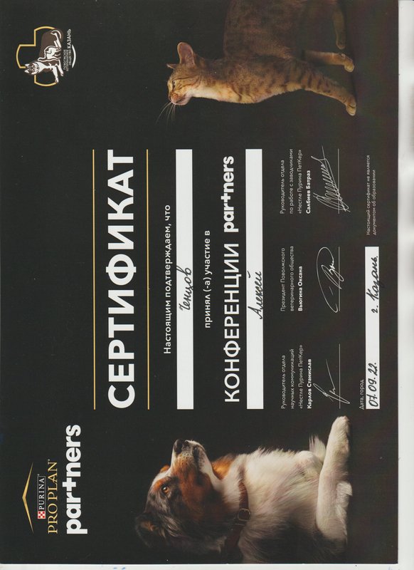 Документ или сертификат