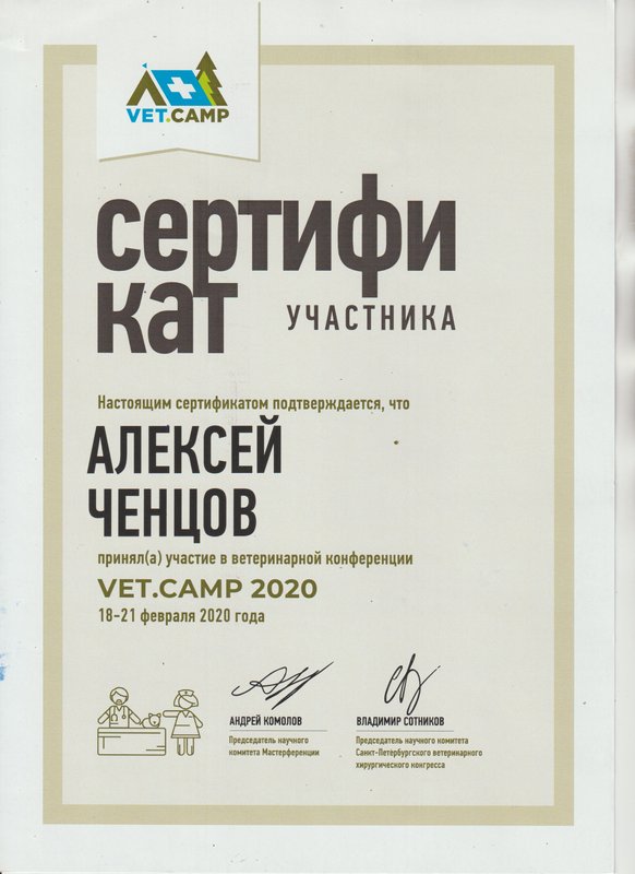 Документ или сертификат