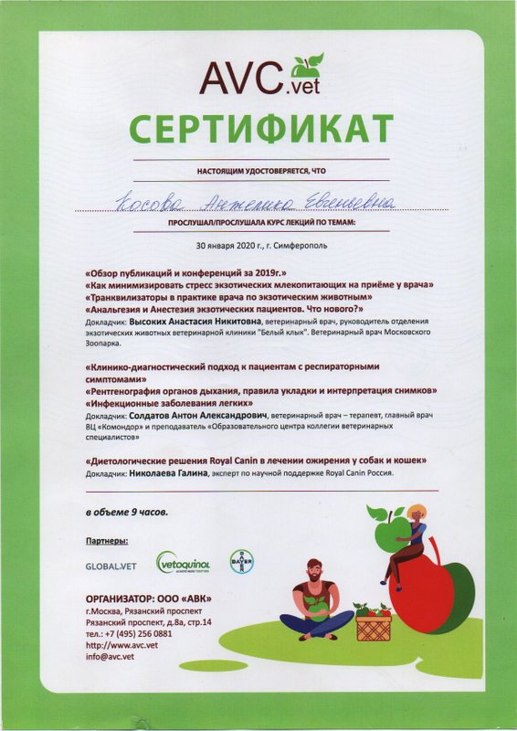 Документ или сертификат