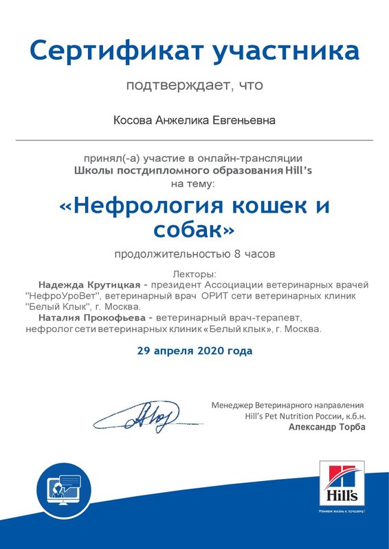 Документ или сертификат