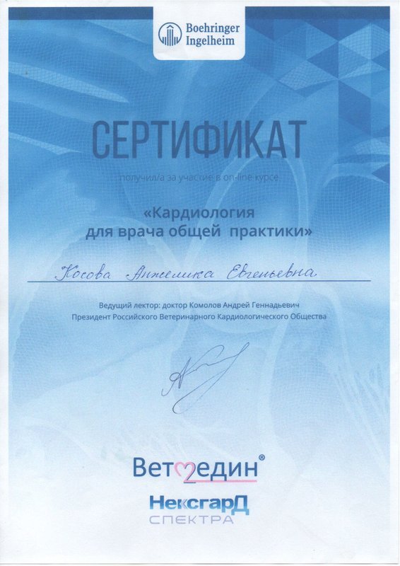 Документ или сертификат