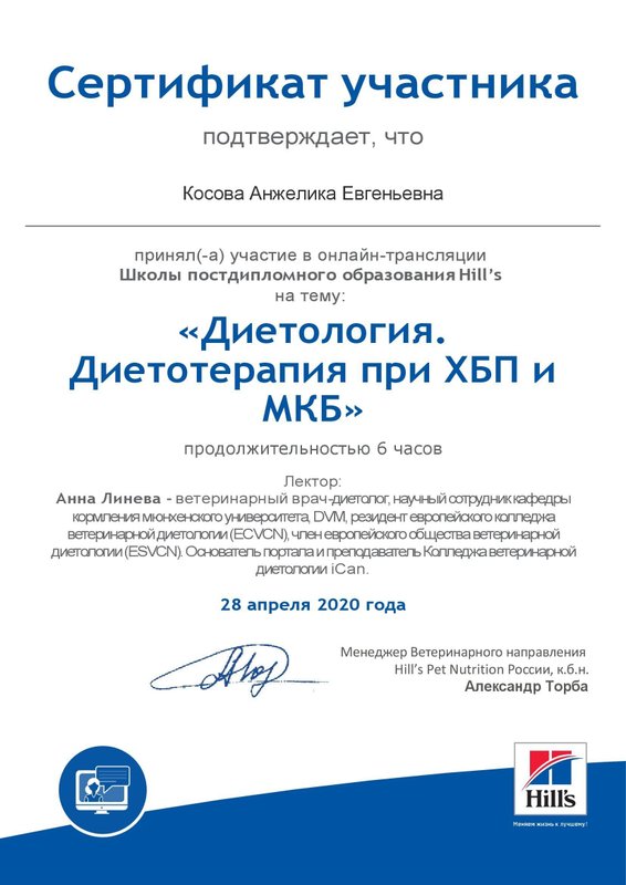 Документ или сертификат