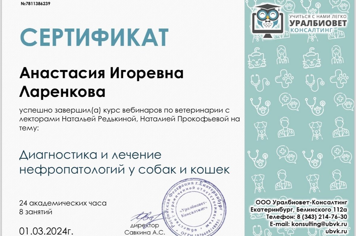 Документ или сертификат