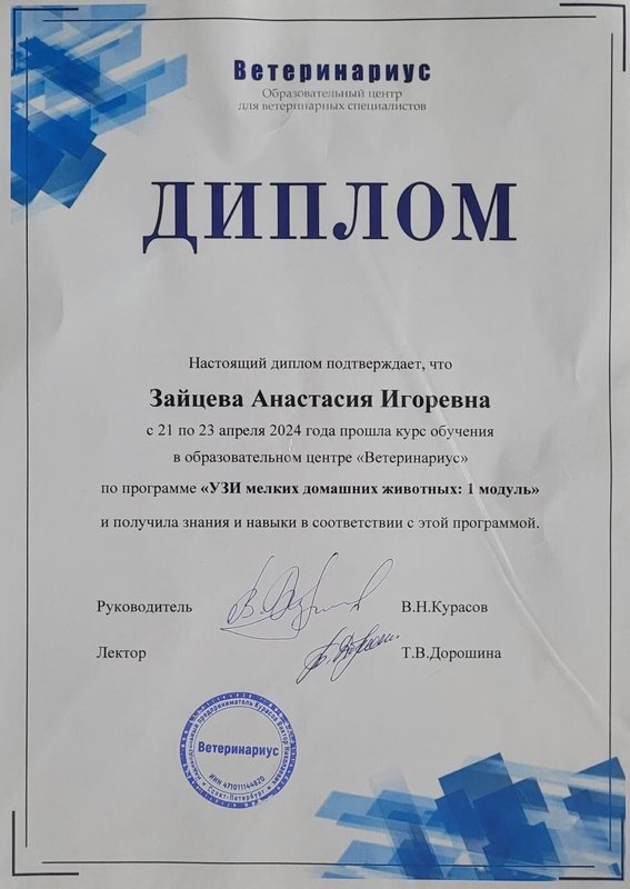 Документ или сертификат
