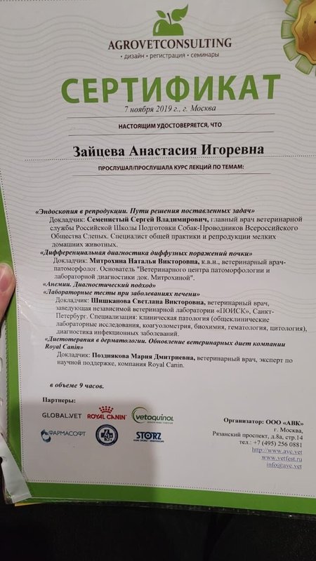 Документ или сертификат