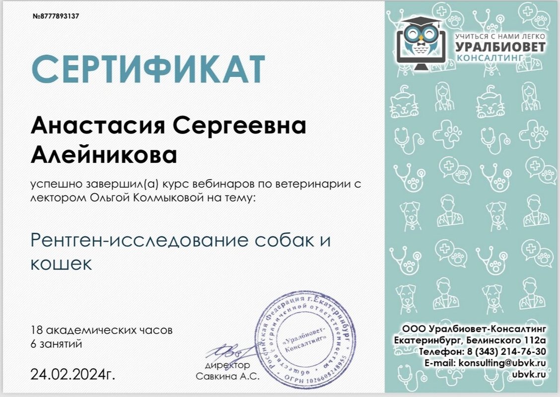 Документ или сертификат