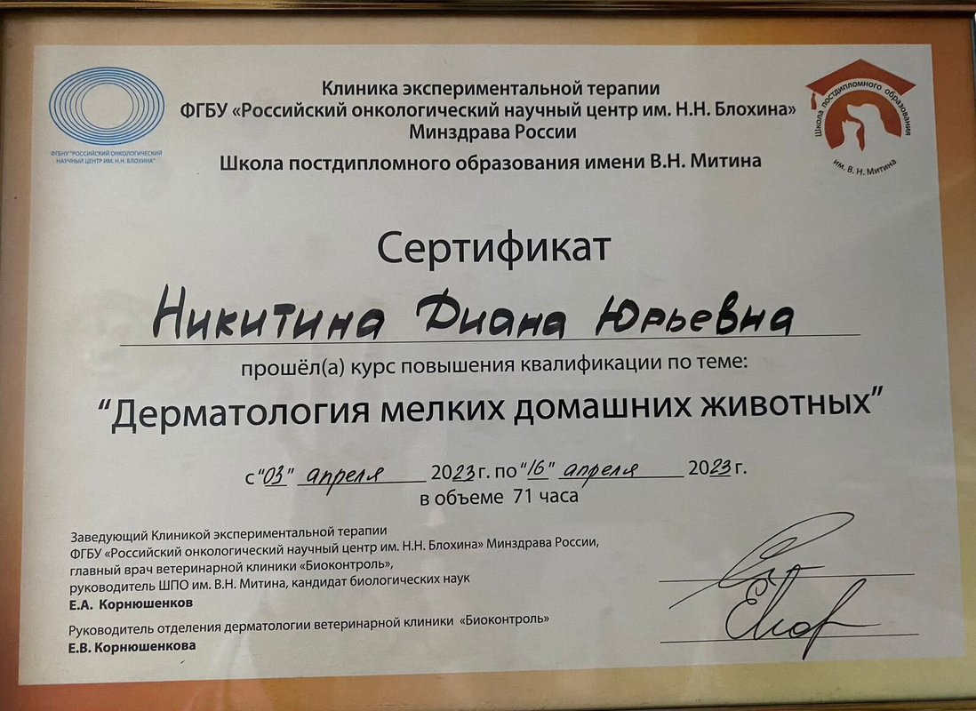 Документ или сертификат