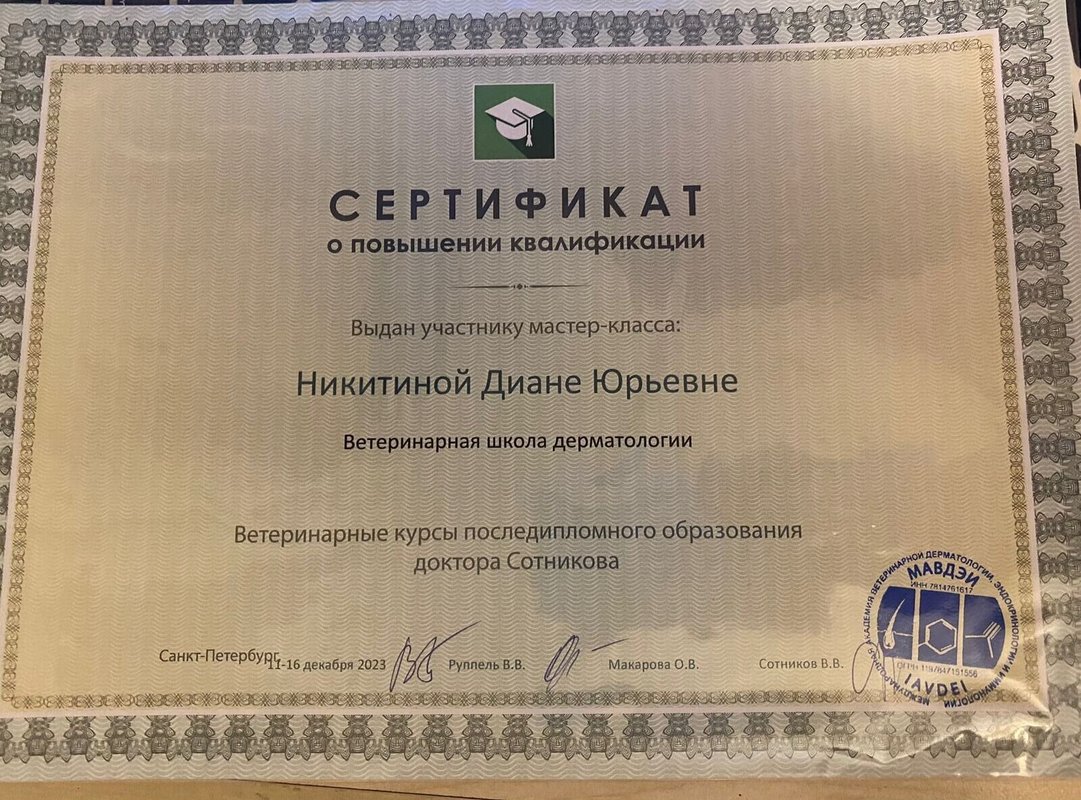 Документ или сертификат