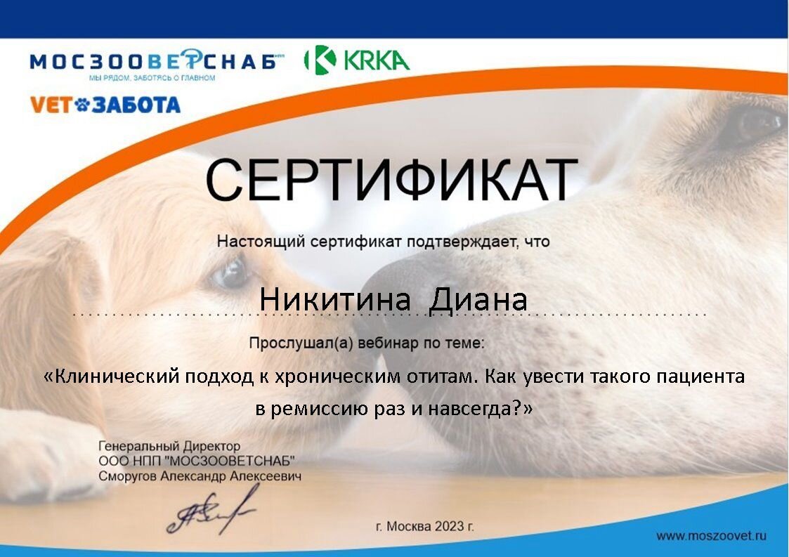 Документ или сертификат