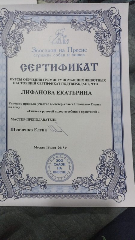 Документ или сертификат