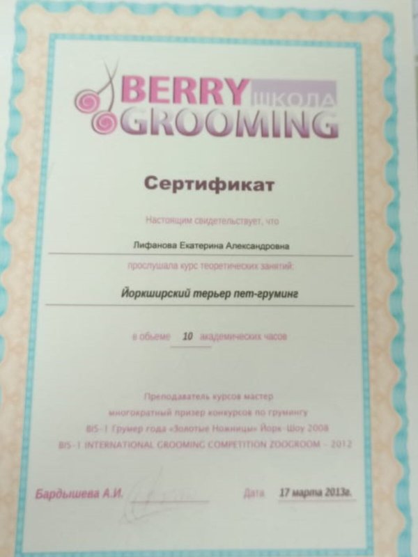 Документ или сертификат