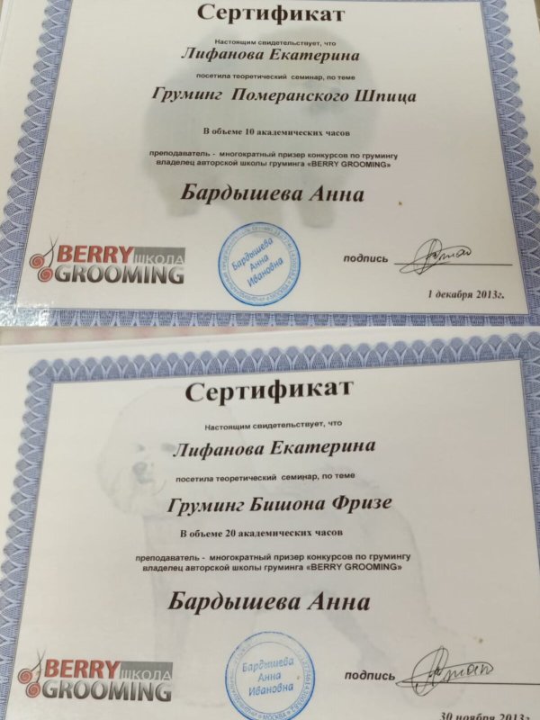 Документ или сертификат