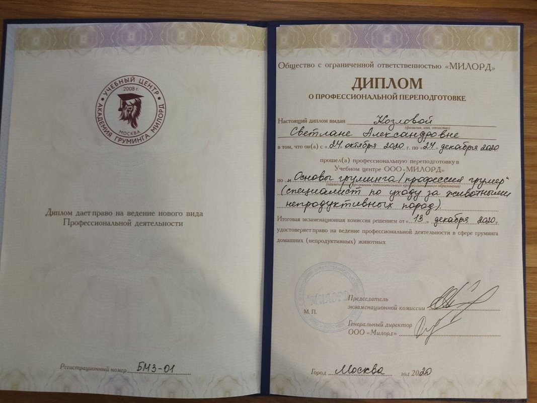 Документ или сертификат