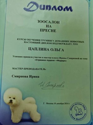 Фото врача Цаплина Ольга