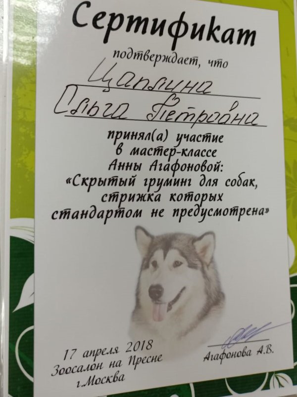 Документ или сертификат