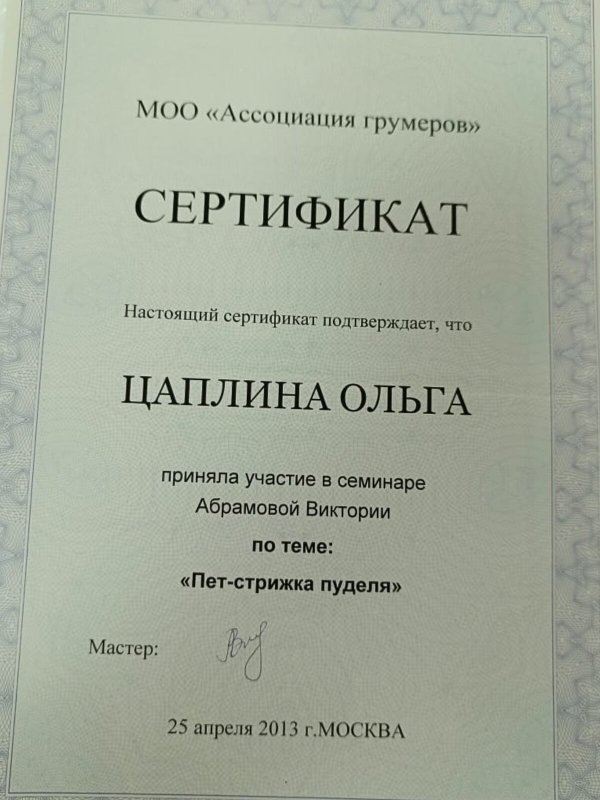 Документ или сертификат