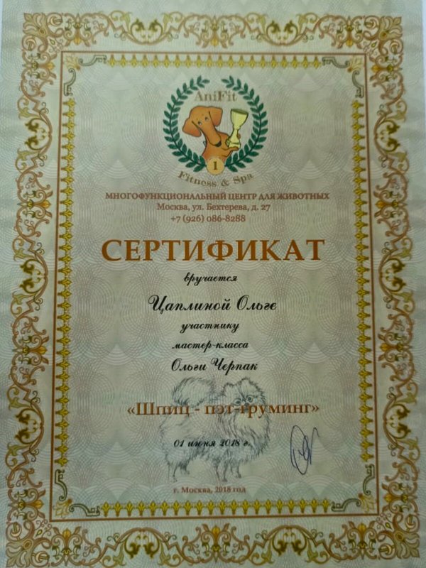 Документ или сертификат