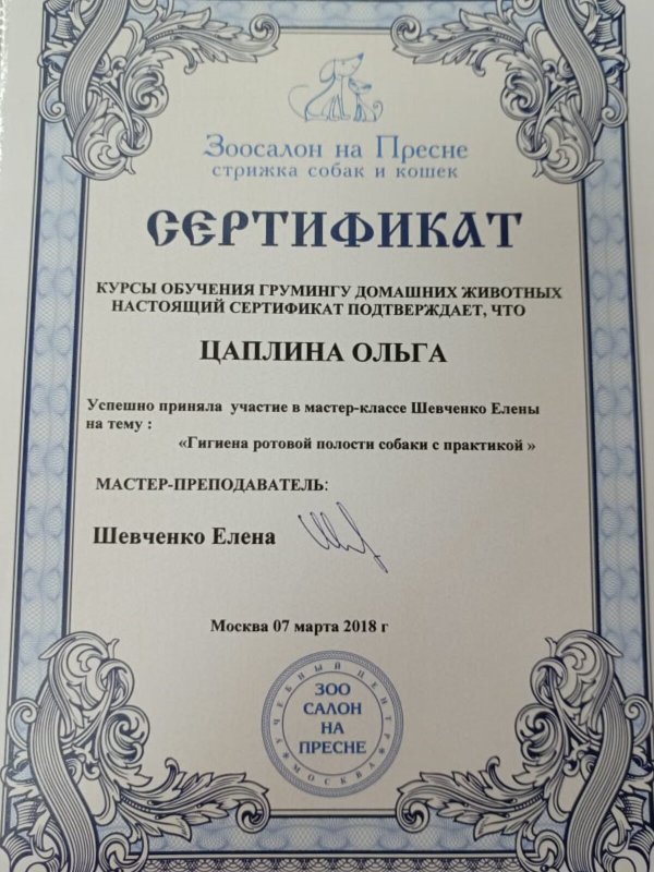 Документ или сертификат