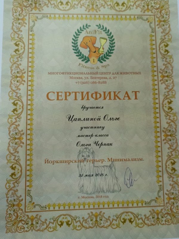 Документ или сертификат