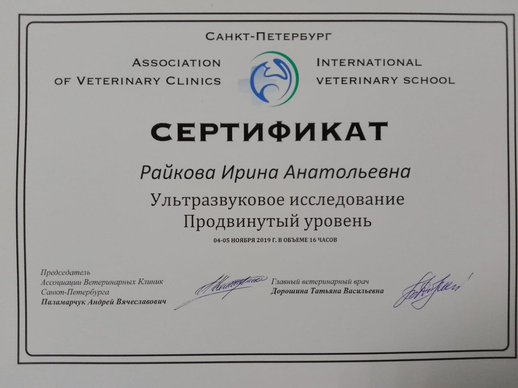 Документ или сертификат