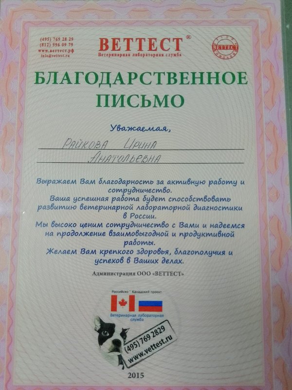 Документ или сертификат