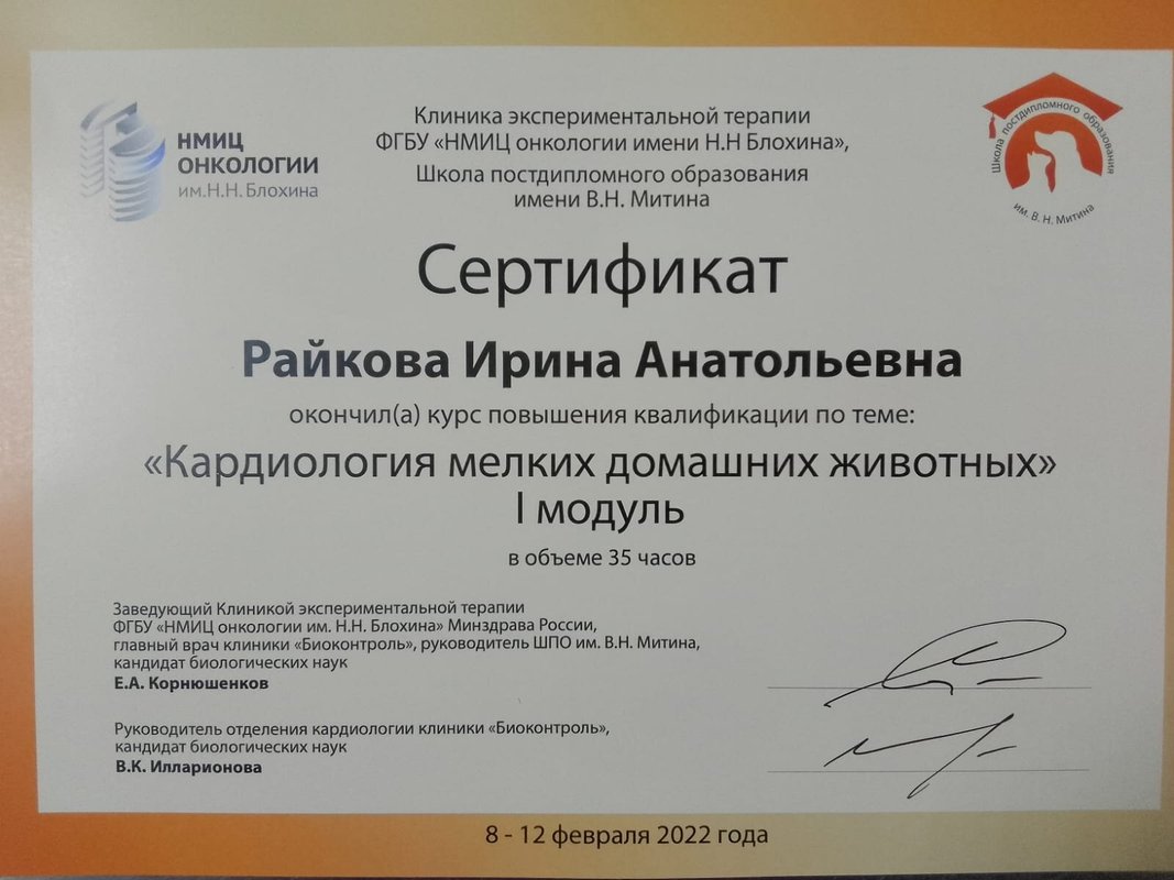 Документ или сертификат