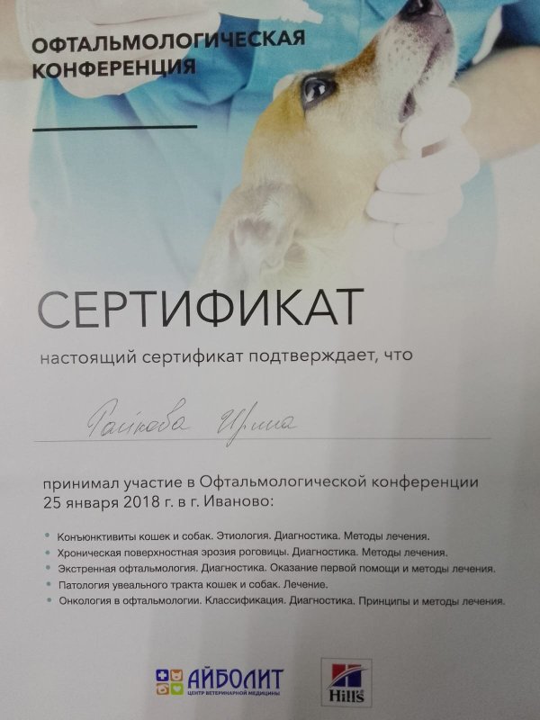 Документ или сертификат