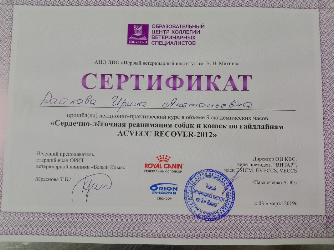 Документ или сертификат