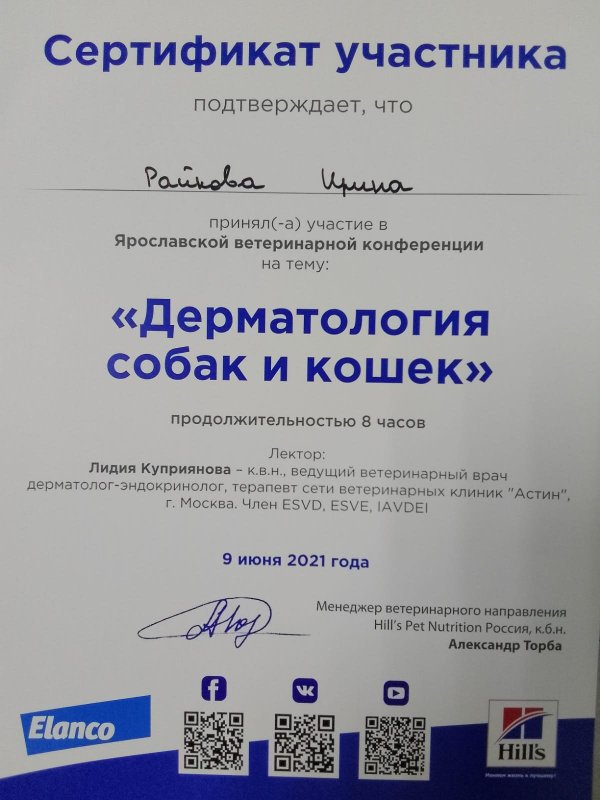 Документ или сертификат