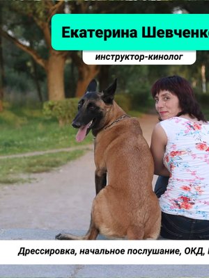 Фото врача Шевченко Екатерина