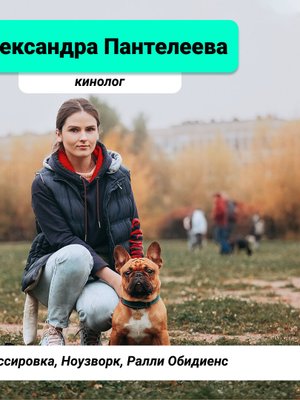 Фото врача Пантелеева Александра