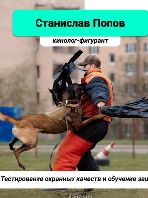 Фото врача Попов Станислав