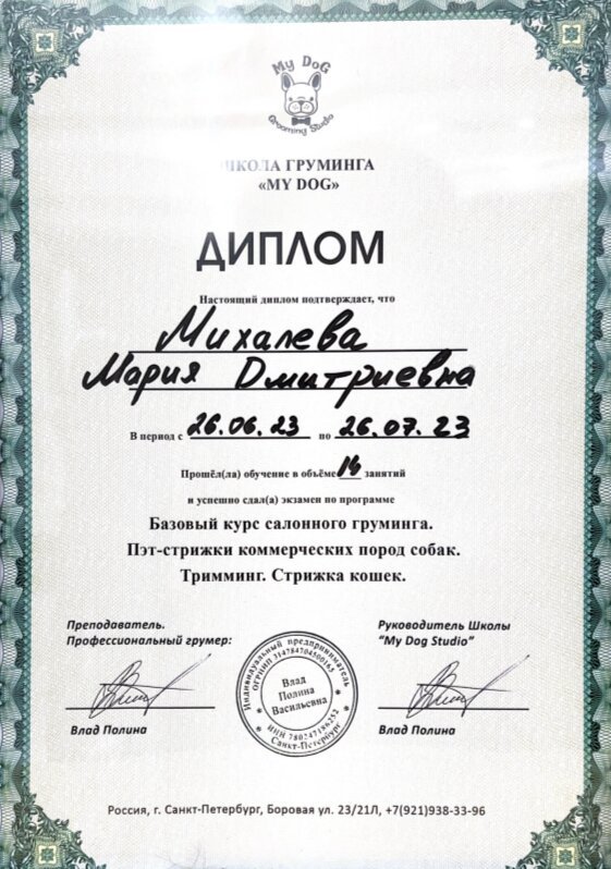 Документ или сертификат