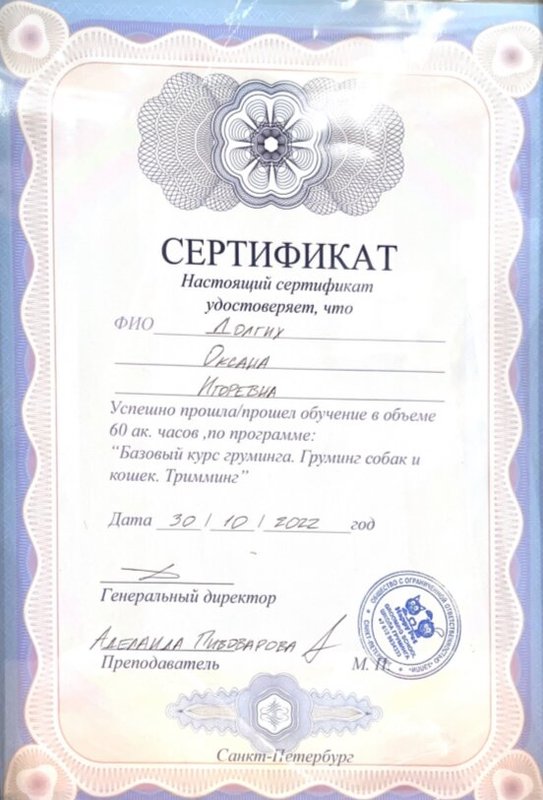 Документ или сертификат