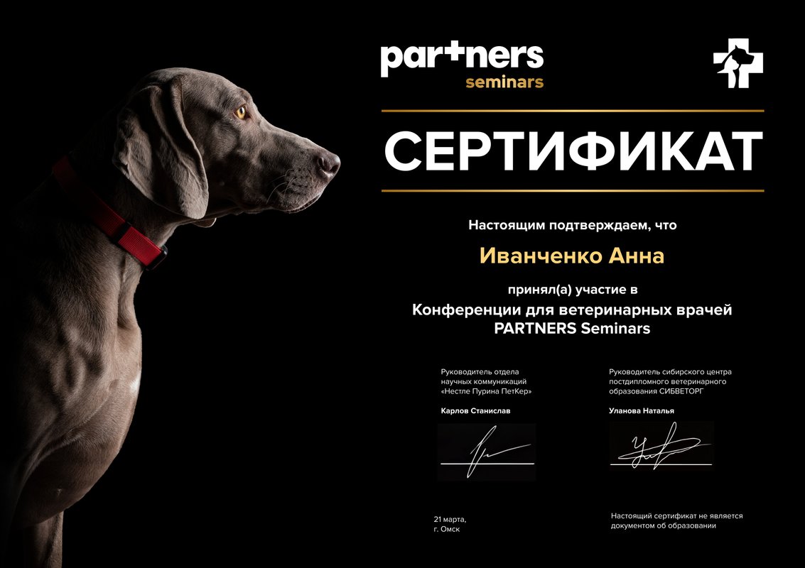 Документ или сертификат