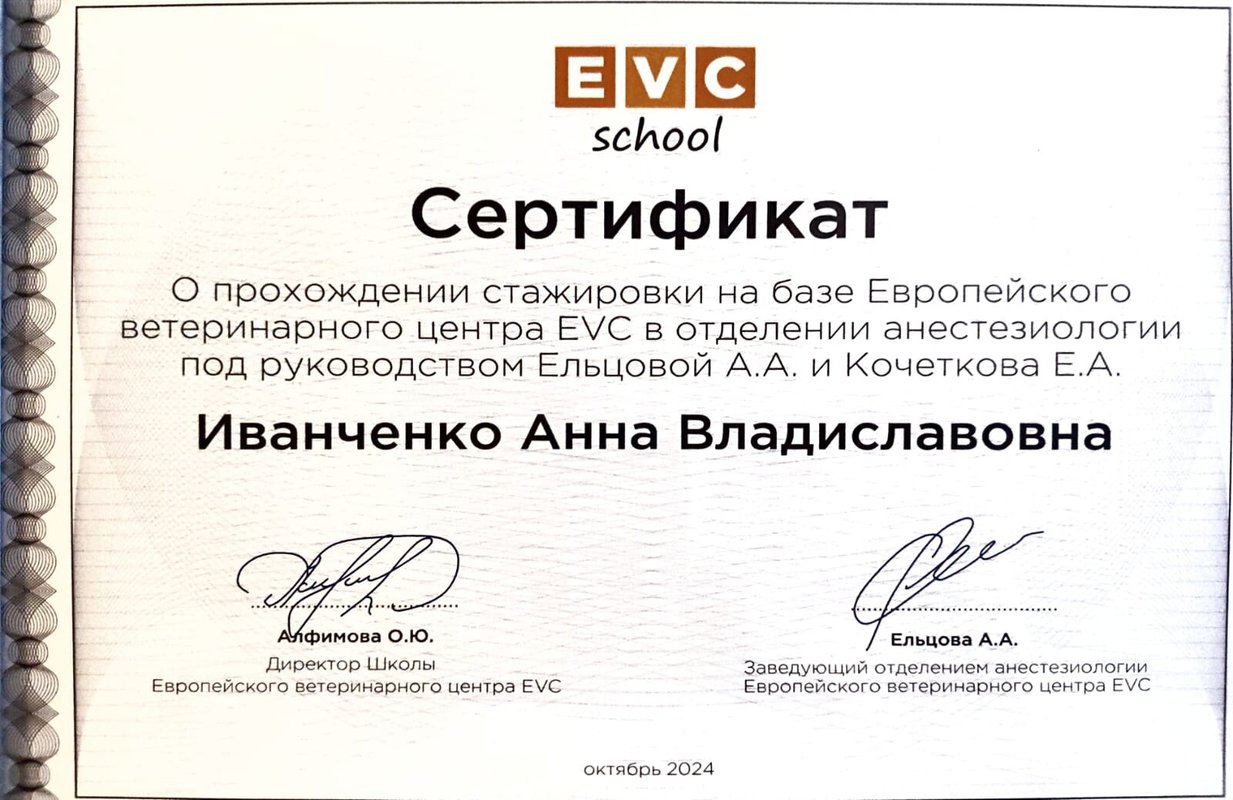 Документ или сертификат