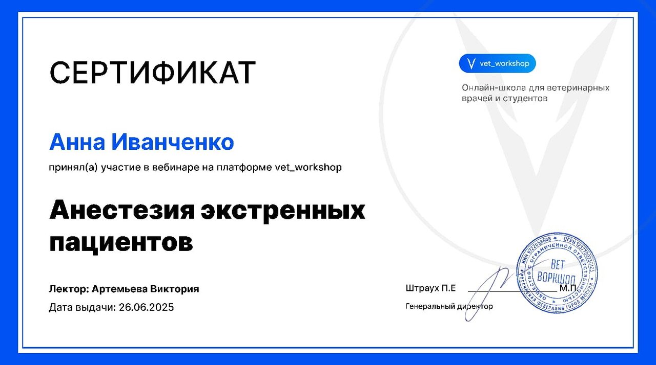 Документ или сертификат
