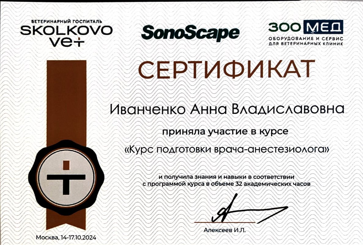 Документ или сертификат