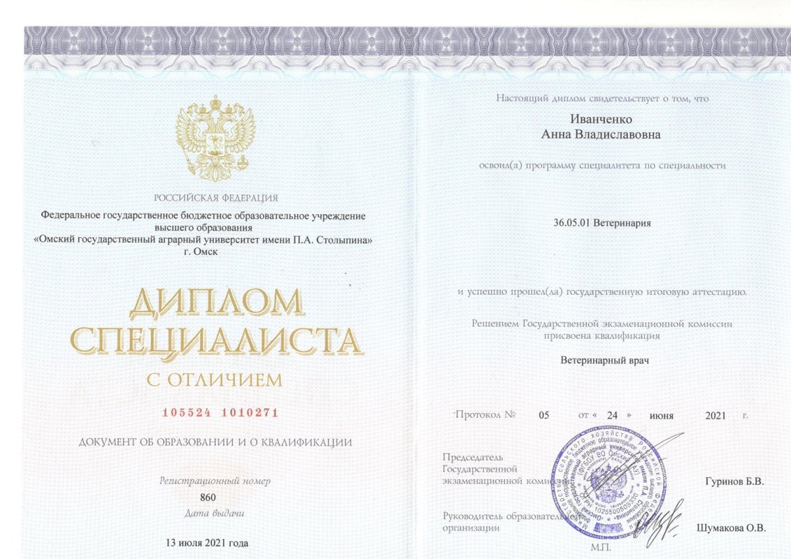 Документ или сертификат