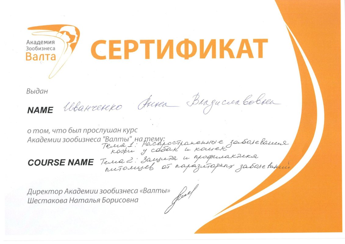 Документ или сертификат