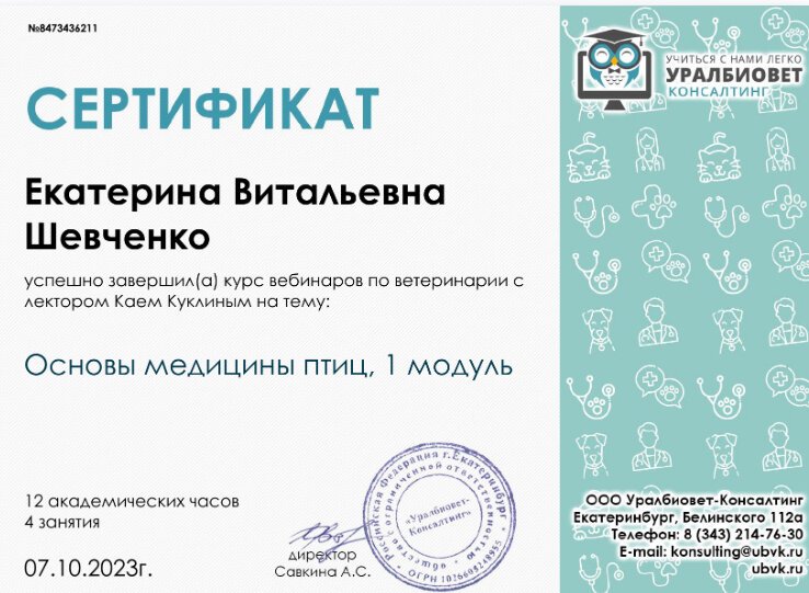 Документ или сертификат