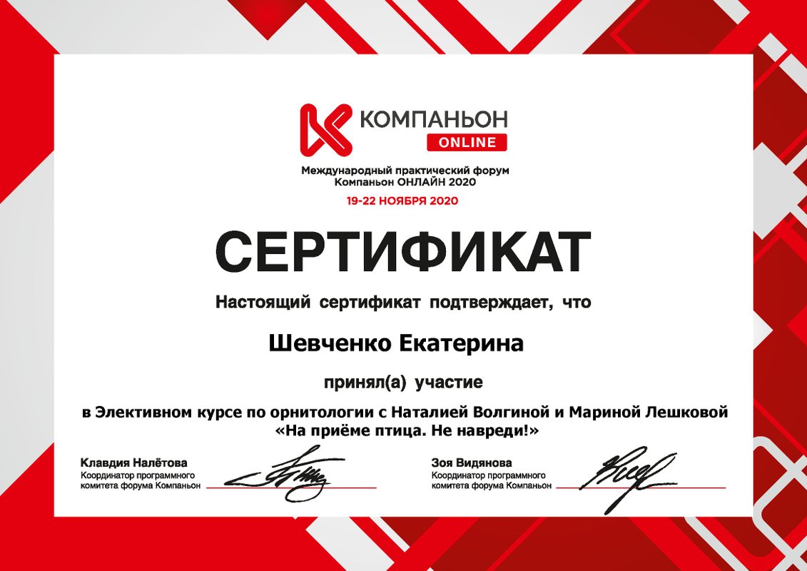Документ или сертификат