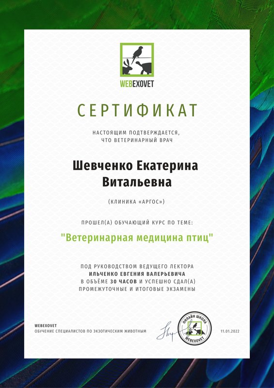 Документ или сертификат
