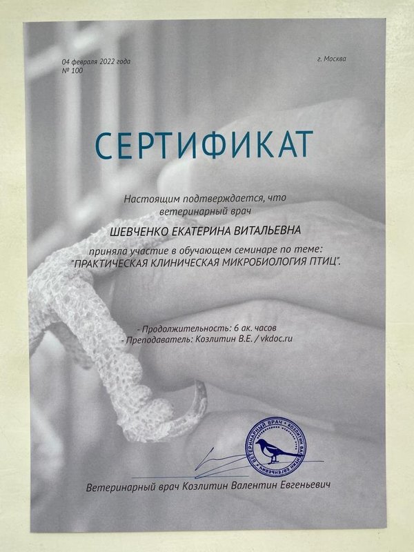 Документ или сертификат