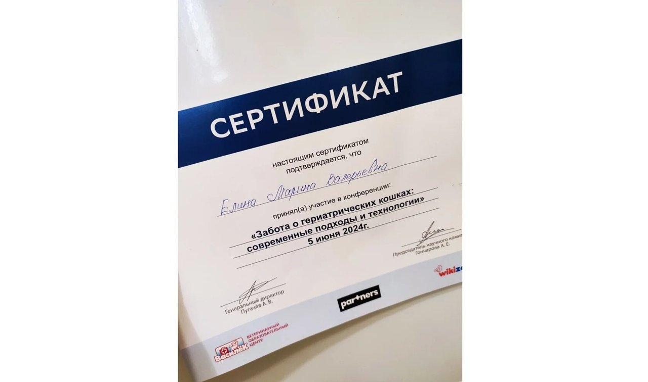 Документ или сертификат