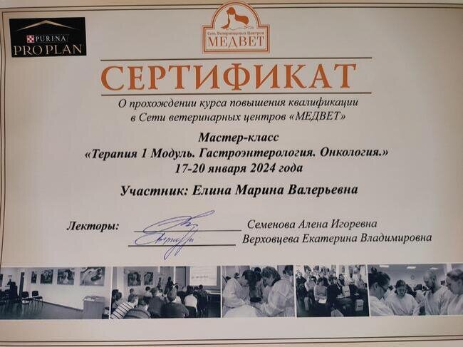 Документ или сертификат